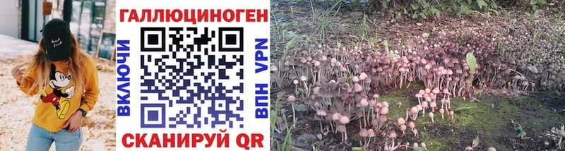 Купить где  Чистополь  Псилоцибиновые грибы Magic Shrooms 